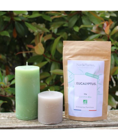 PROMO 🚨 L'EUCALYPTUS HERBO BIO VRAC DOYPACK