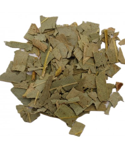 PROMO 🚨 L'EUCALYPTUS HERBO BIO VRAC DOYPACK