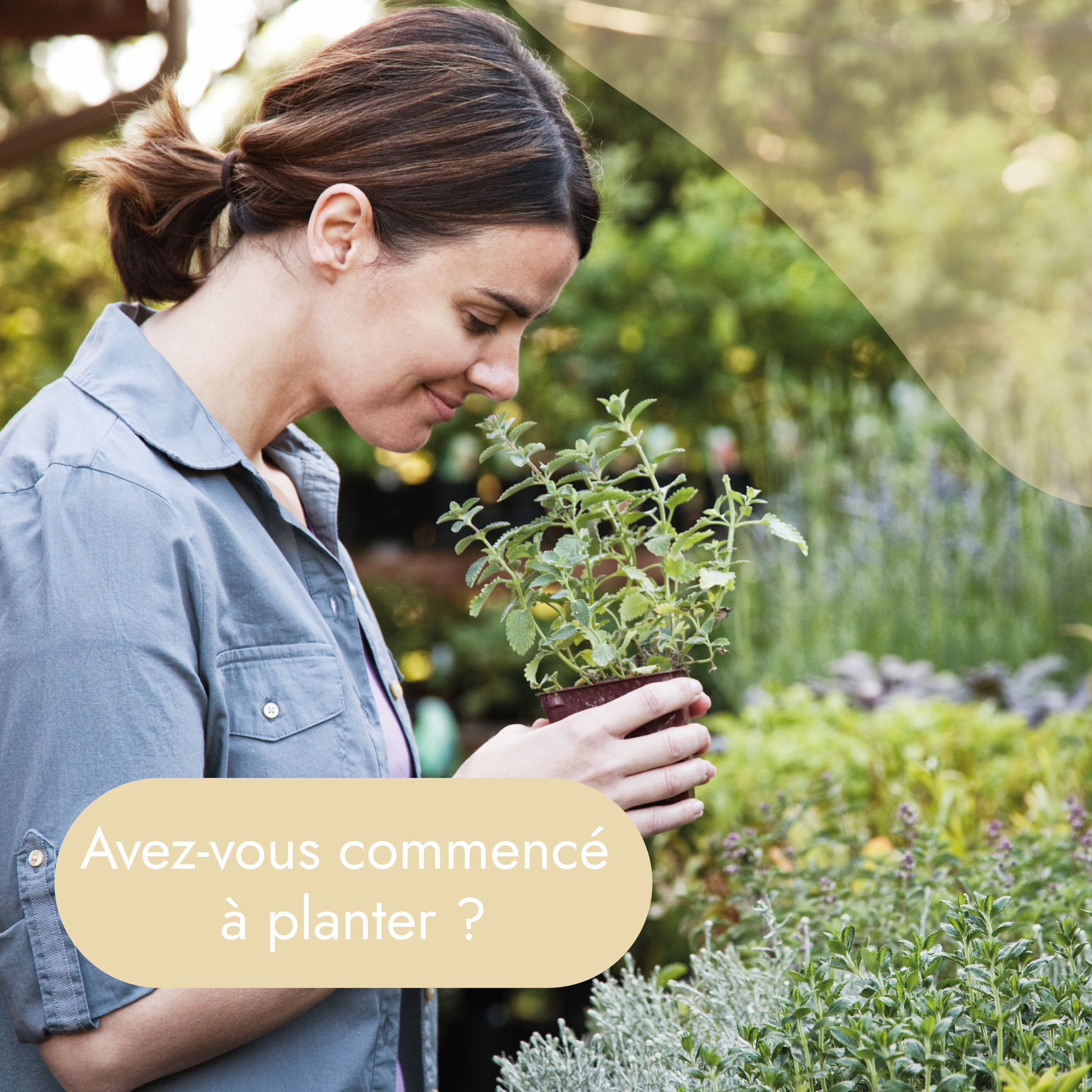 Avez-vous commencé à jardiner ?